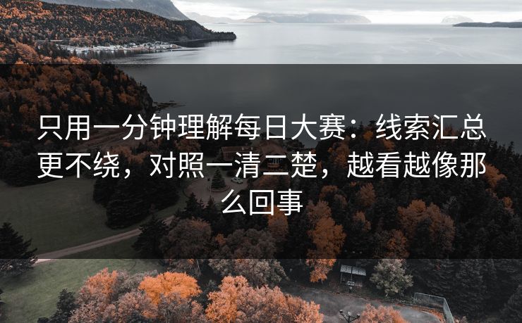 只用一分钟理解每日大赛：线索汇总更不绕，对照一清二楚，越看越像那么回事