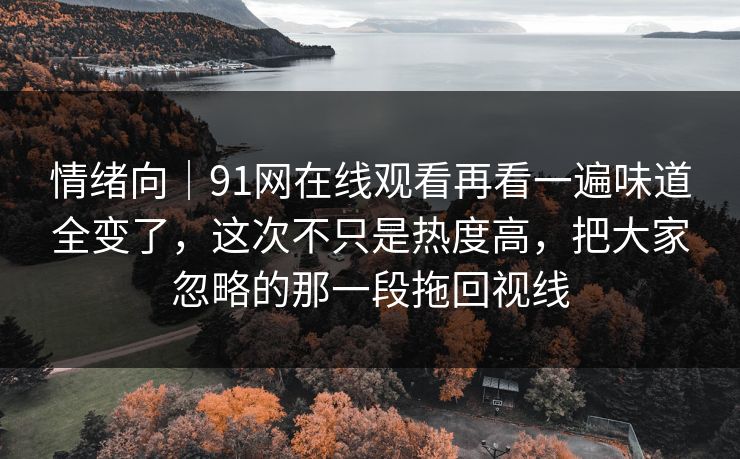 情绪向|91网在线观看再看一遍味道全变了,这次不只是热度高,把大家忽略的那一段拖回视线